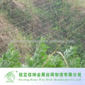 High Strength High Tension Rockfall Protecting Mesh